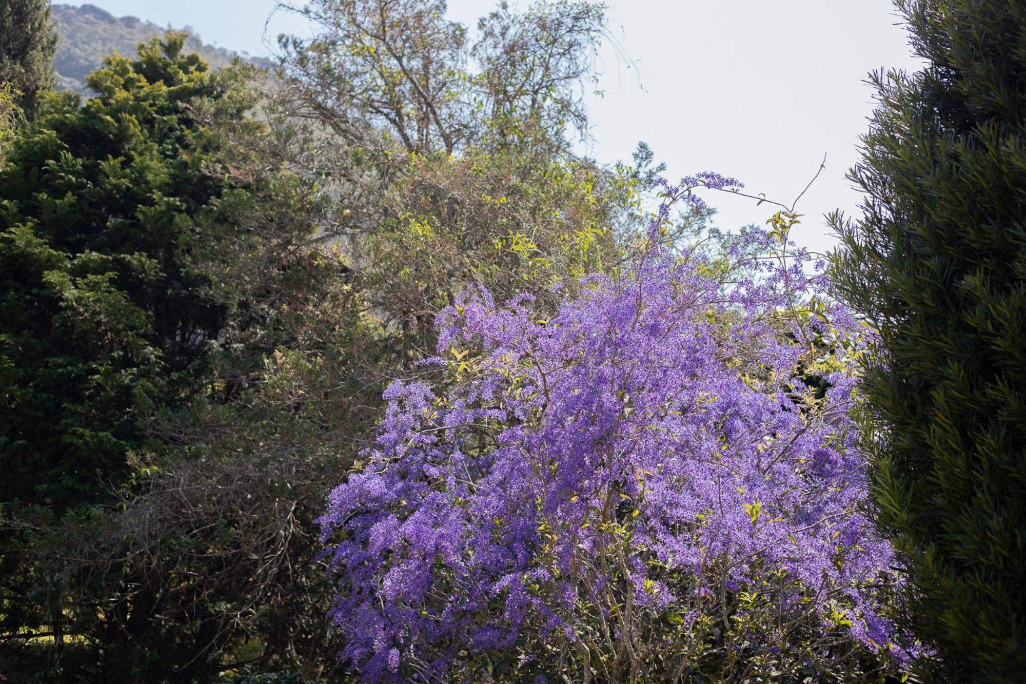 Recanto Dos Vianas Teresópolis Dış mekan fotoğraf